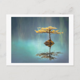 POSTKARTE: BAUM AUF EINER INSEL POSTKARTE