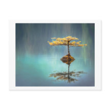 POSTKARTE: BAUM AUF EINER INSEL