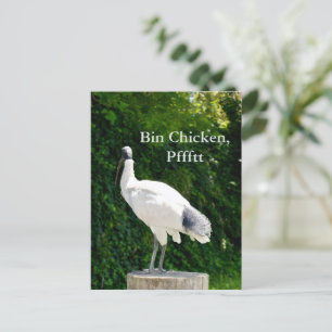 Postkarte Bin Chicken Pfftt (Ibis)