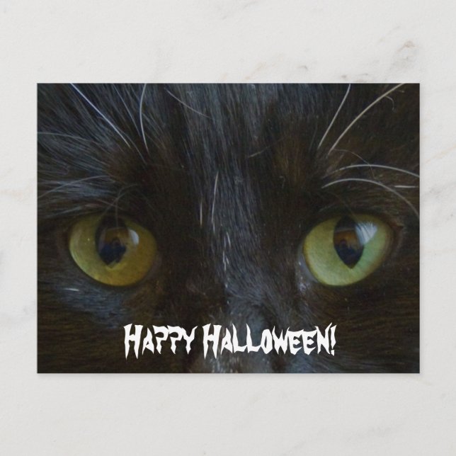 Postkarte:  Black Cat Eyes Postkarte (Vorderseite)
