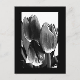 Postkarte-Blume-64 Postkarte