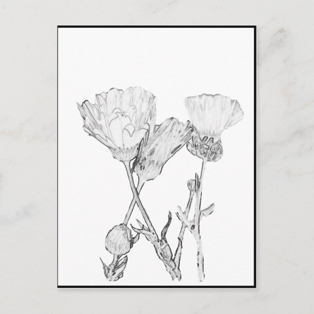 Postkarte - Blume in Farbe (Vorderseite)