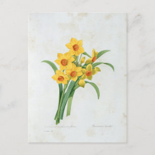 Postkarte Blumen 5