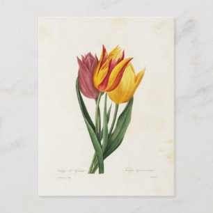Postkarte Blumen 9