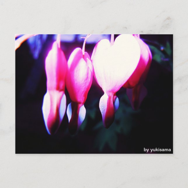 Postkarte - Blumenherzen (Vorderseite)