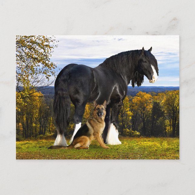 Postkarte "Butch and Blackbird" (Vorderseite)