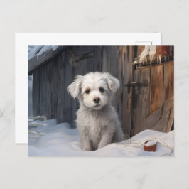 Postkarte Chien 1-12