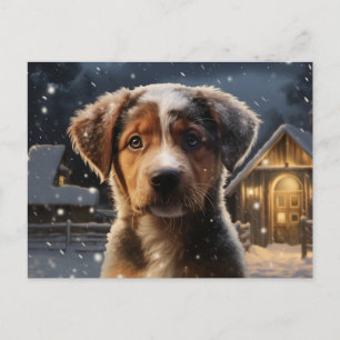 Postkarte Chien 1-21