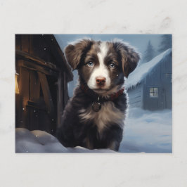 Postkarte Chien 5-15