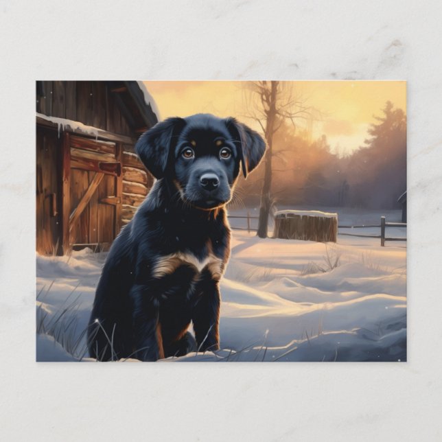 Postkarte Chien 5-3 (Vorderseite)