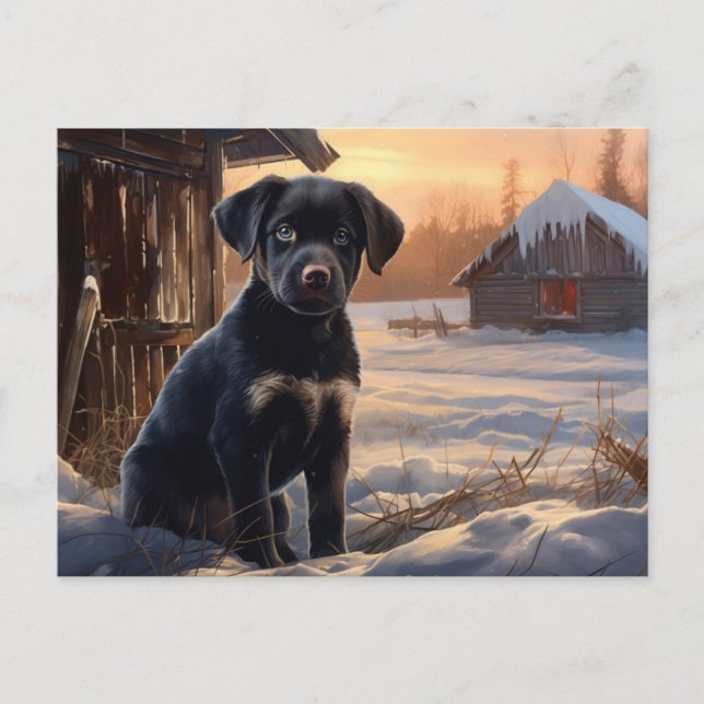 Postkarte Chien 5-6 (Vorderseite)