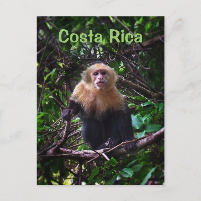 Postkarte Costa Rica (Vorderseite)