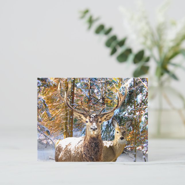 Postkarte "Deep in Forest" (Stehend Vorderseite)