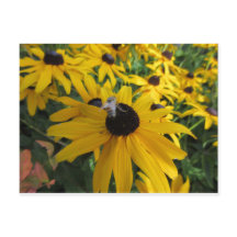 Postkarte der Arbeiterbeere