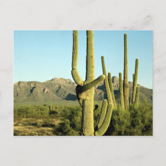 Postkarte der Nationalparks