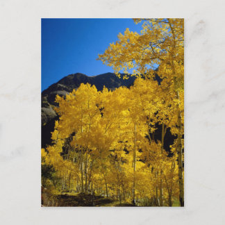 Postkarte der Nationalparks