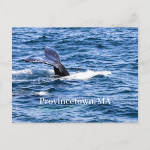 Postkarte der Provinz