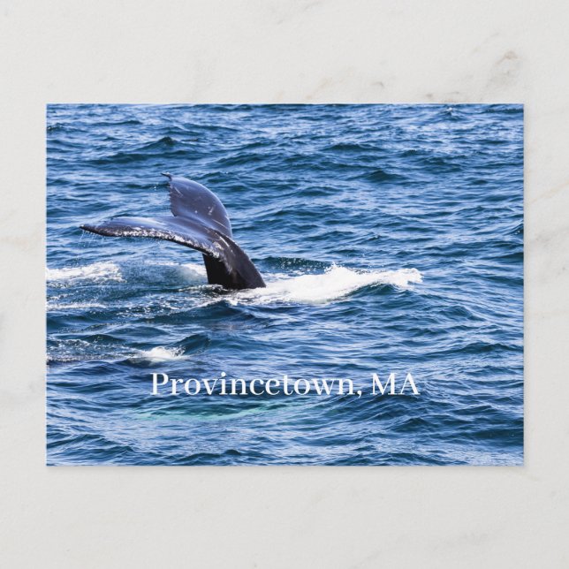 Postkarte der Provinz (Vorderseite)