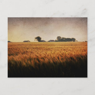 Postkarte der Texasfarm