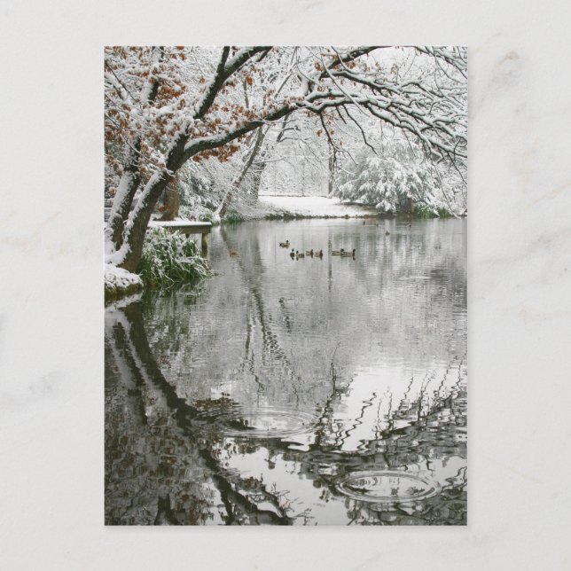 Postkarte der Winterlandschaft (Vorderseite)