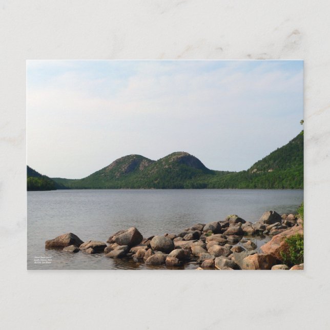 Postkarte der Wüste (Vorderseite)
