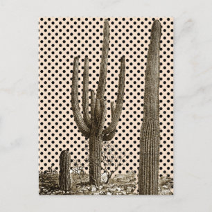 Postkarte der Wüste