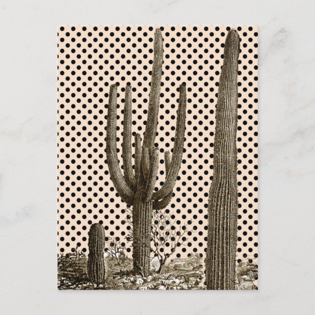 Postkarte der Wüste (Vorderseite)