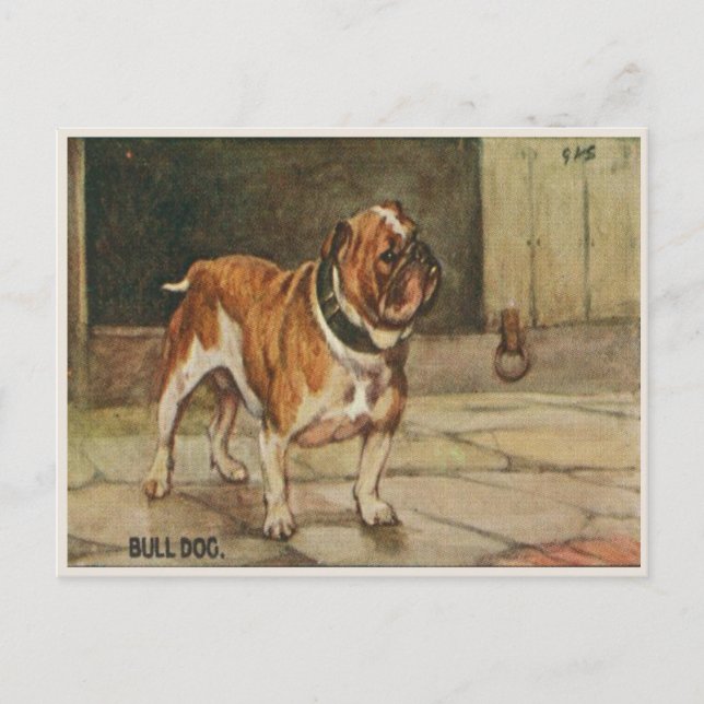 Postkarte des Hundes mit Husten Bull Dog (Vorderseite)