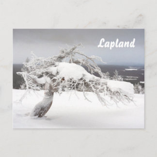 Postkarte des Lapplands
