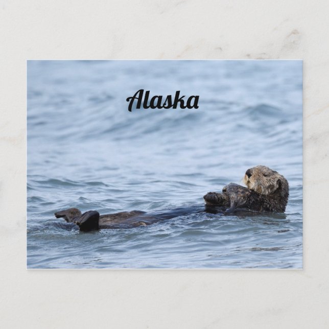 Postkarte des Otters (Vorderseite)