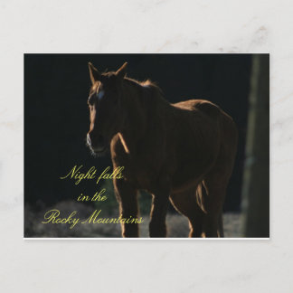 Postkarte des Pferdes im Rocky Mountains