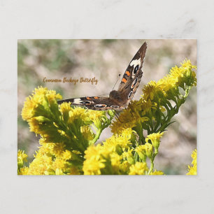 Postkarte des Schmetterlings Gemeines Tagpfauenaug