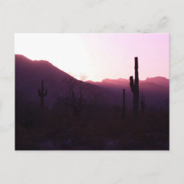 Postkarte des Sonnenuntergangs in Überraschung Ari