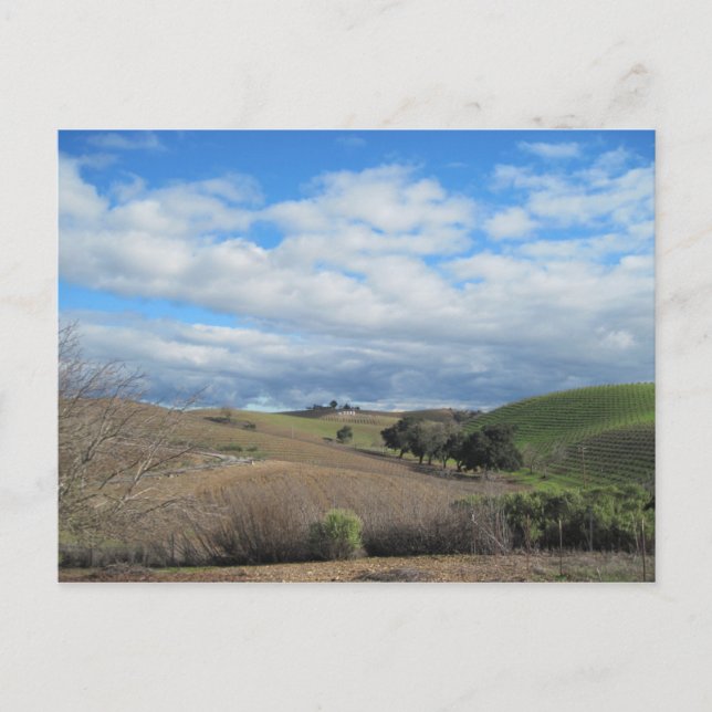 Postkarte des Weingutes Paso Robles im Januar (Vorderseite)