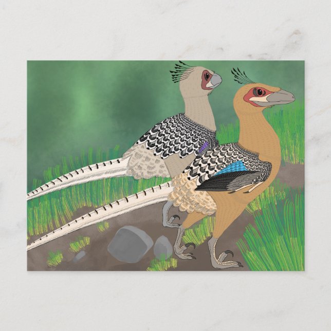 Postkarte Dinosaur - Acheroraptor (Vorderseite)