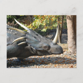 Postkarte _ Dinosaurier _ Triceratops