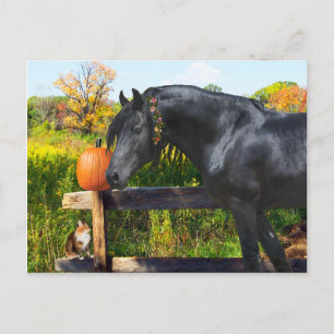 Postkarte ‚Donatella‘