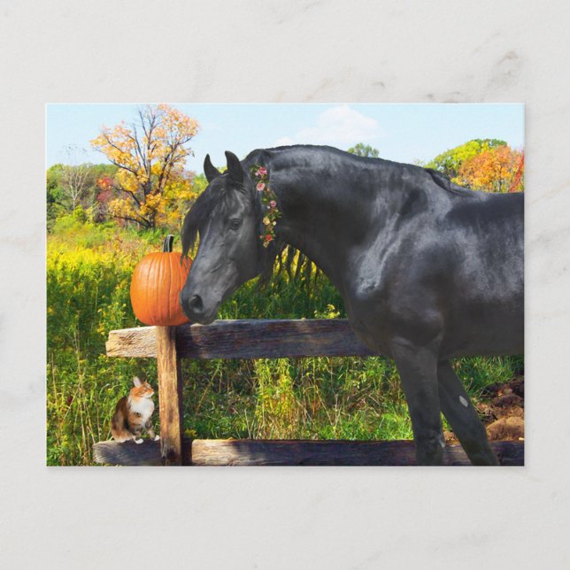 Postkarte ‚Donatella‘ (Vorderseite)