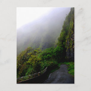 Postkarte "Down the Beaten Path"