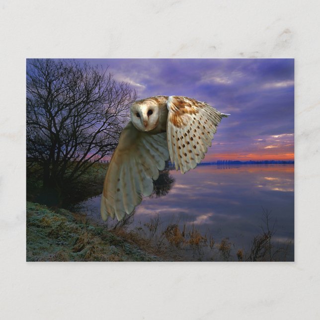 Postkarte "Dusk" (Vorderseite)