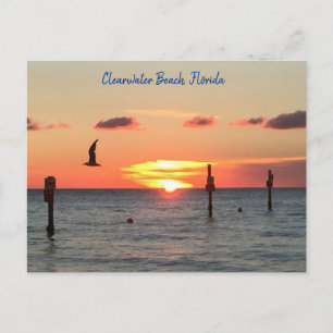 Postkarte eines Sonnenuntergangs von Clearwater Be