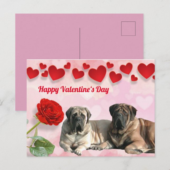 Postkarte English Mastiff Valentinstags  (Vorne/Hinten)