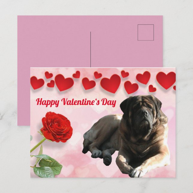 Postkarte English Mastiff Valentinstags  (Vorne/Hinten)
