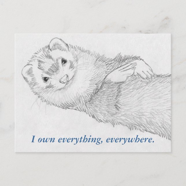 Postkarte Ferret - Pandora Owns (Vorderseite)