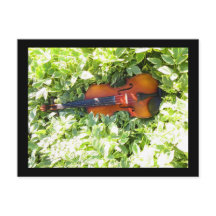 Postkarte Fiddle and Ivous Violin Postkarte