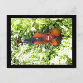 Postkarte Fiddle and Ivous Violin Postkarte