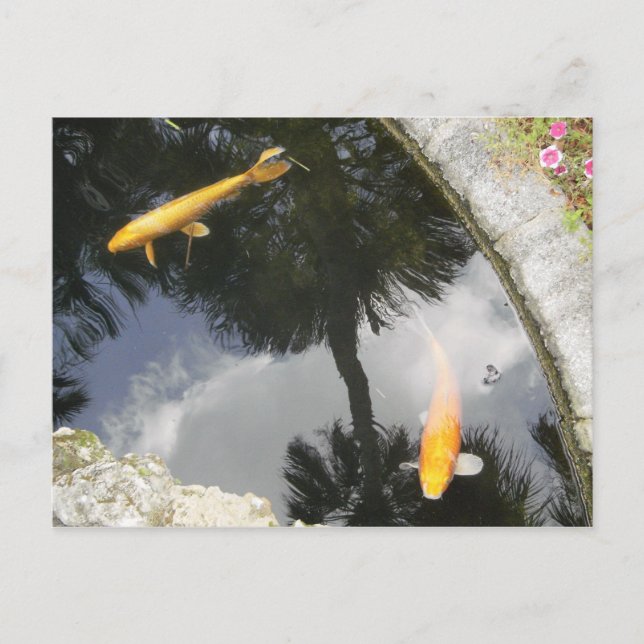 Postkarte Fisch (Vorderseite)