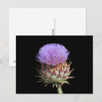 Postkarte - Fleck