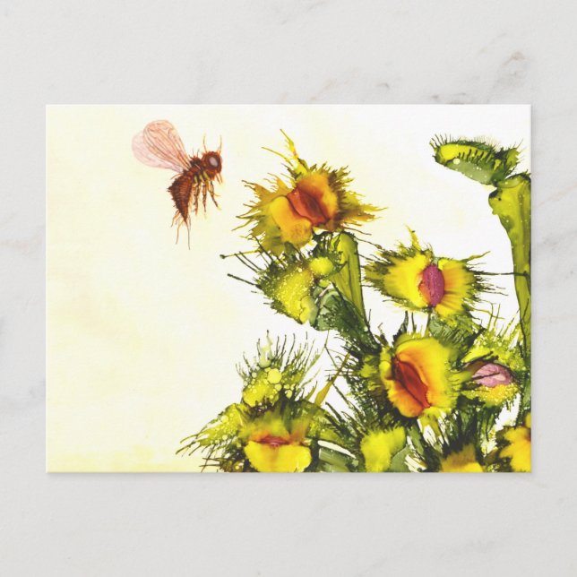 Postkarte "Fleischfresser" (Vorderseite)