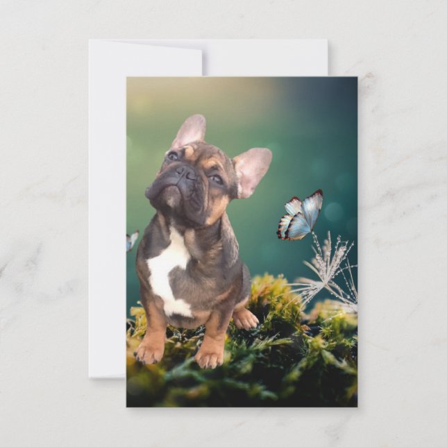 Postkarte französische  Bulldogge  (Vorderseite)
